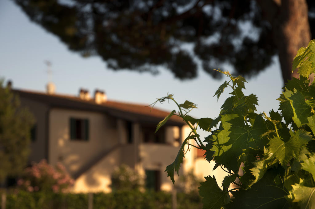 Agriturismo Quattro Pini Villa Castagneto Carducci Buitenkant foto