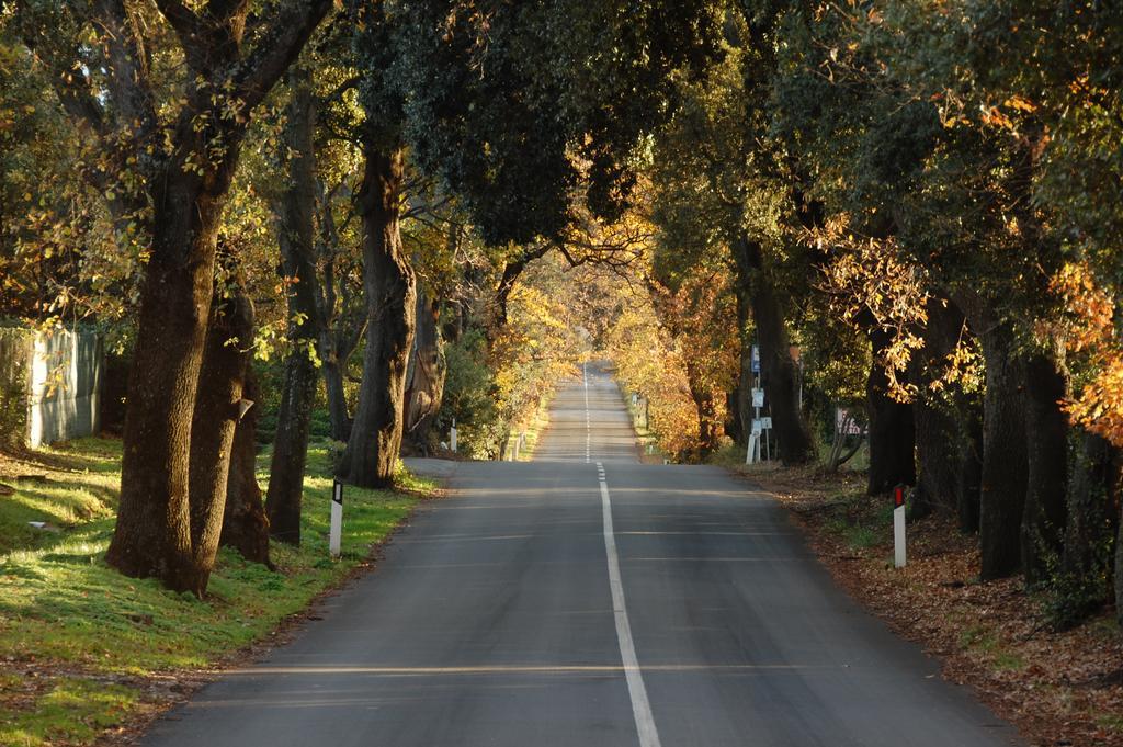 Agriturismo Quattro Pini Villa Castagneto Carducci Buitenkant foto