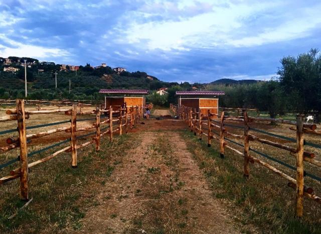 Agriturismo Quattro Pini Villa Castagneto Carducci Buitenkant foto